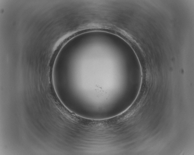 X0000073451222200608041019