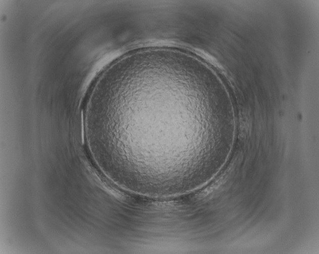 X0000073451223200608041019