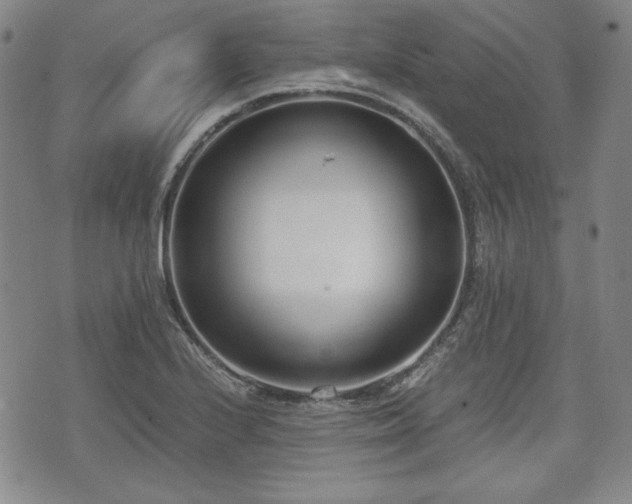 X0000073451224200608041019