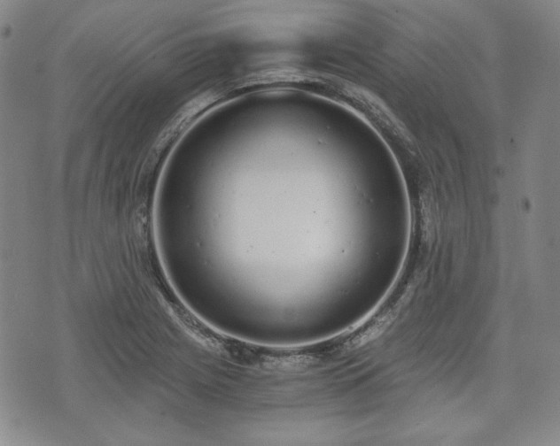 X0000073451225200608041019