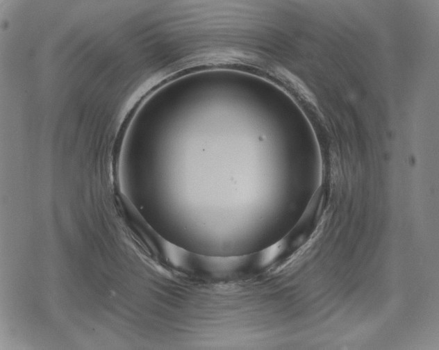 X0000073451226200608041019