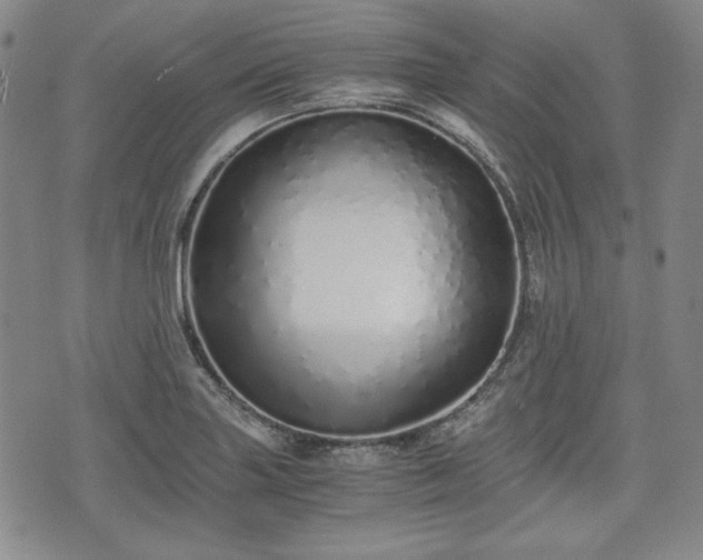 X0000073451227200608041019