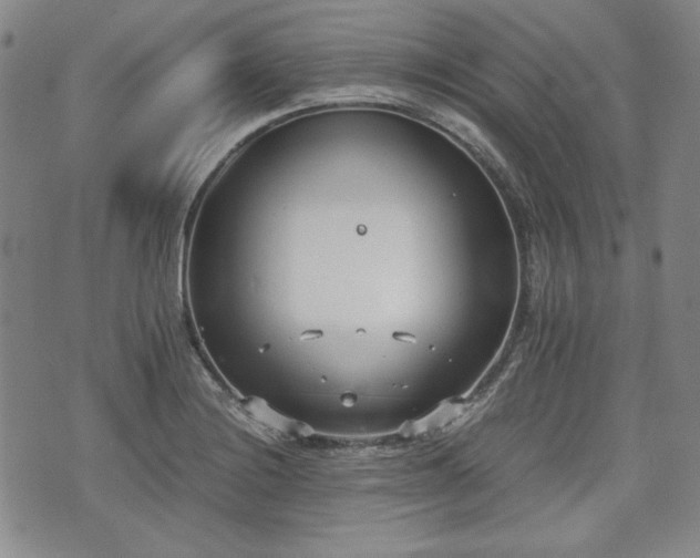 X0000073451228200608041019