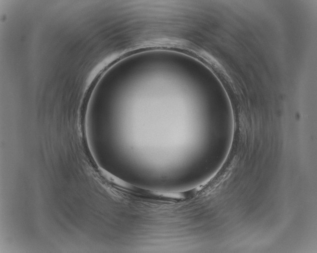 X0000073451230200608041019