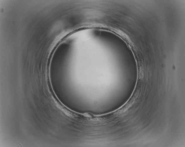 X0000073451231200608041019