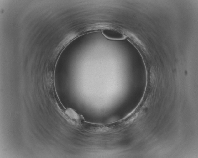 X0000073451233200608041019