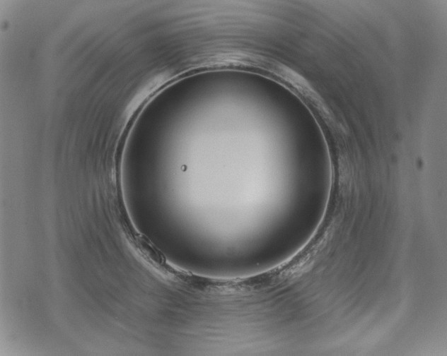 X0000073451234200608041019