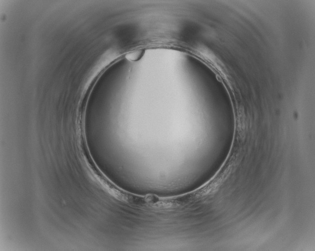 X0000073451235200608041019