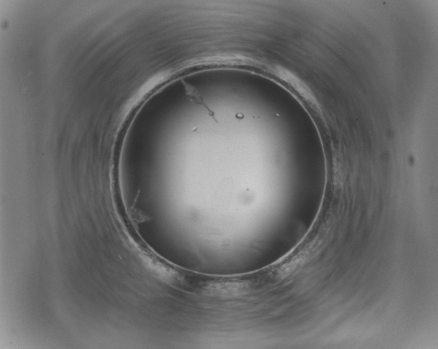 X0000073451237200608041019