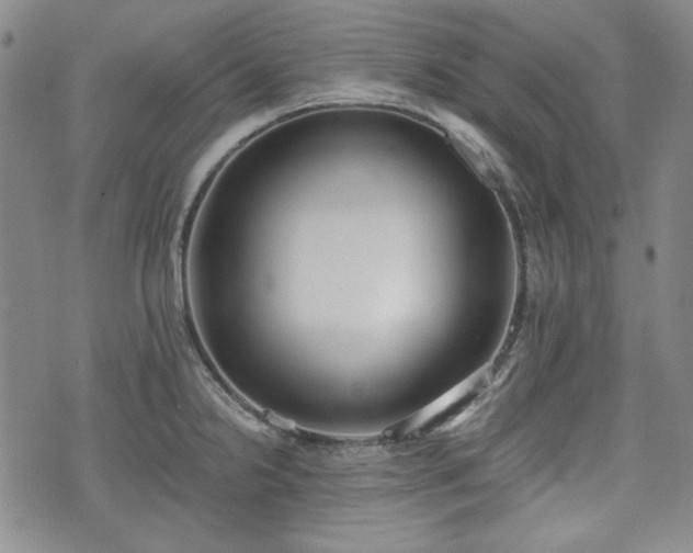 X0000073451238200608041019