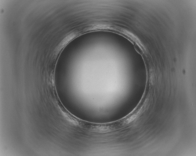 X0000073451241200608041019