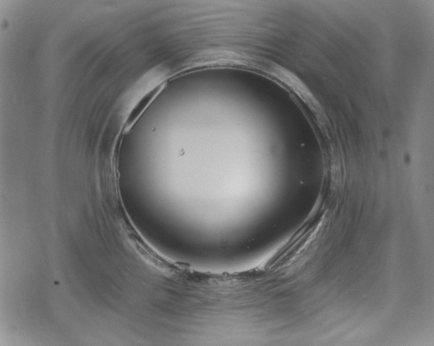 X0000073451242200608041020