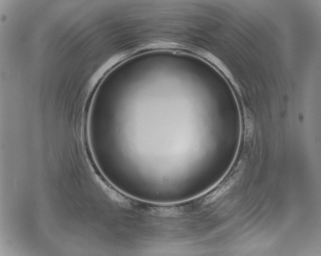 X0000073451245200608041020