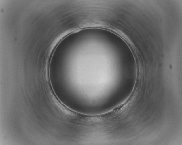 X0000073451246200608041020