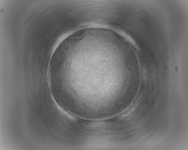 X0000073451247200608041020