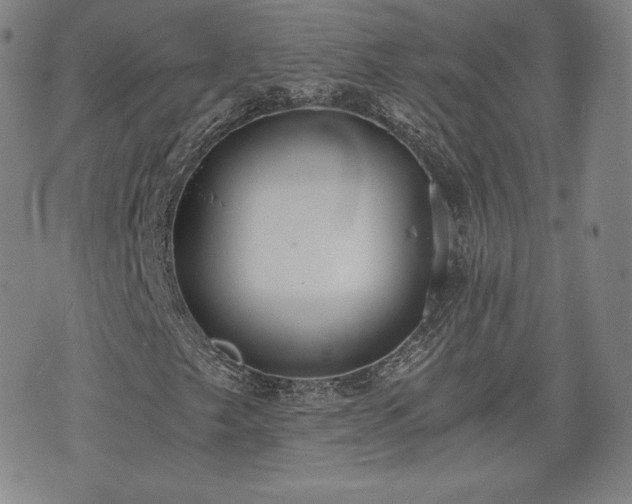 X0000073451249200608041019