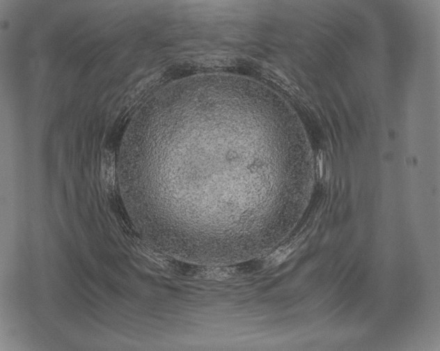 X0000073451251200608041019