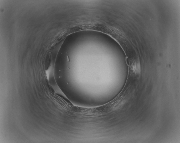 X0000073451252200608041019