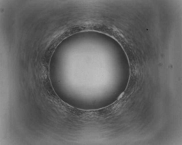 X0000073451253200608041019