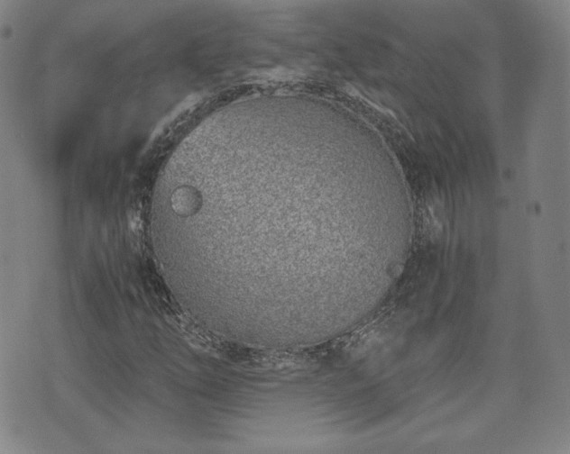 X0000073451254200608041019