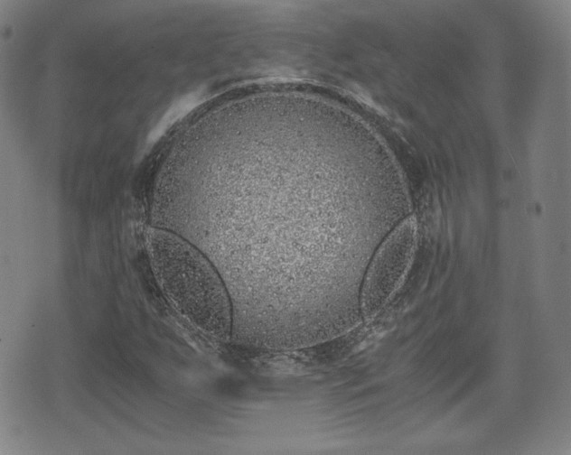 X0000073451255200608041019