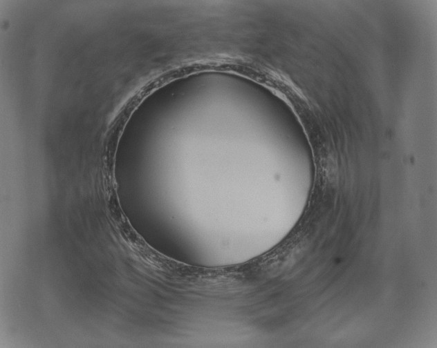 X0000073451256200608041019