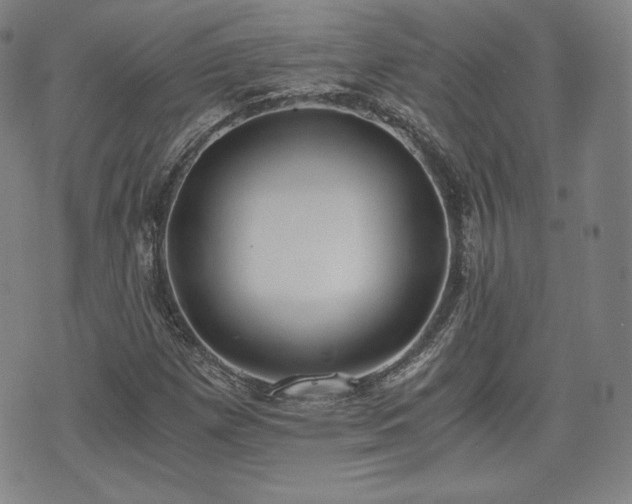 X0000073451257200608041019