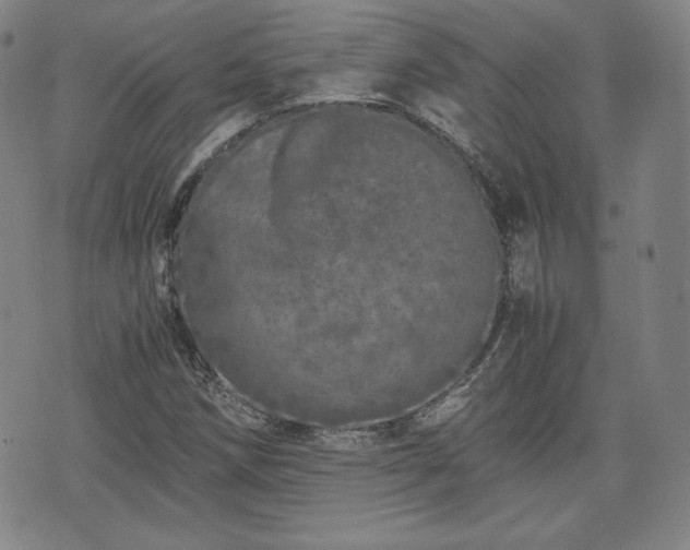 X0000073451258200608041019