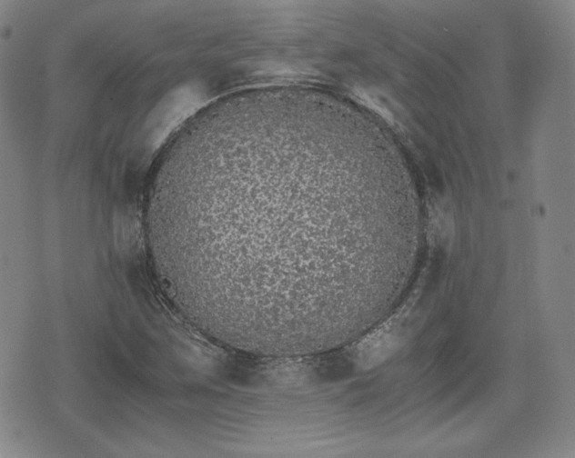 X0000073451259200608041019