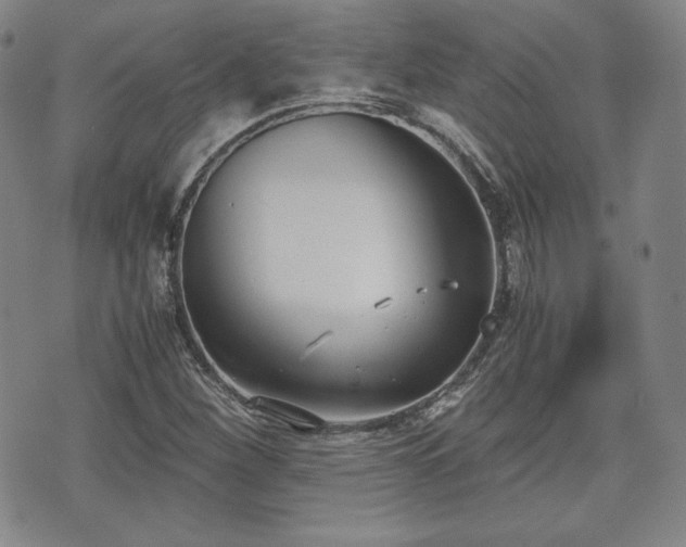 X0000073451260200608041019