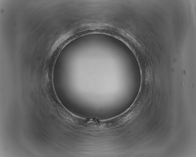 X0000073451261200608041019