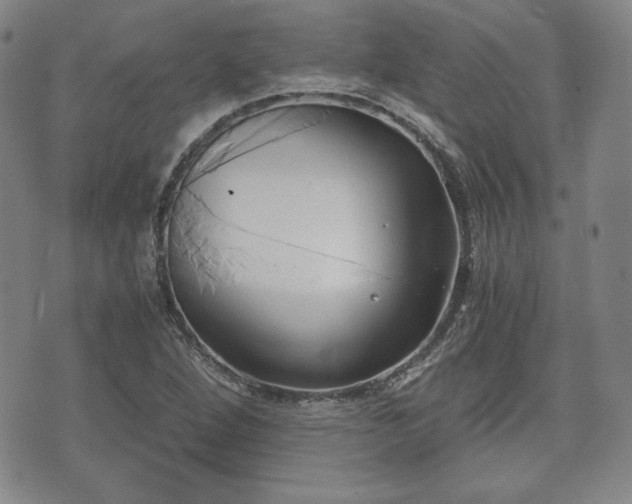 X0000073451264200608041019