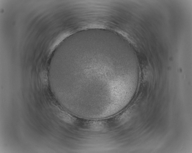 X0000073451266200608041019