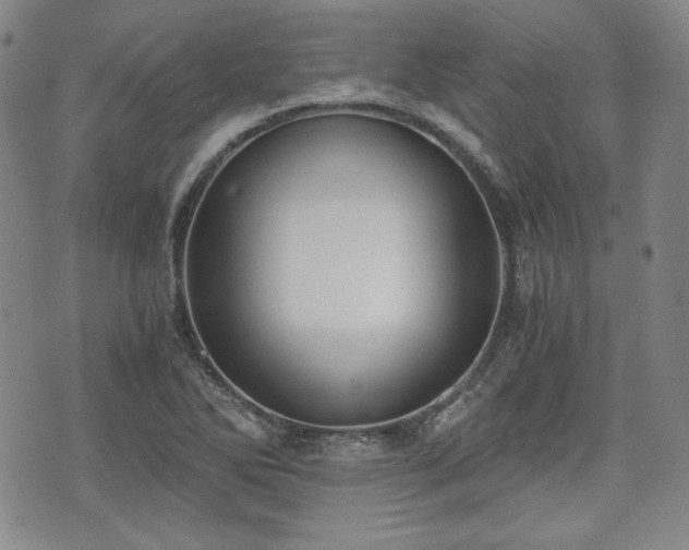 X0000073451270200608041018