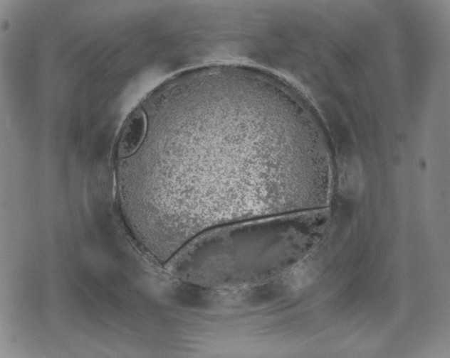 X0000073451271200608041018