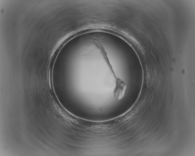 X0000073451272200608041018