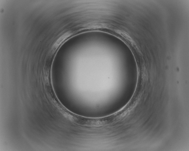 X0000073451273200608041018