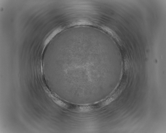 X0000073451274200608041018