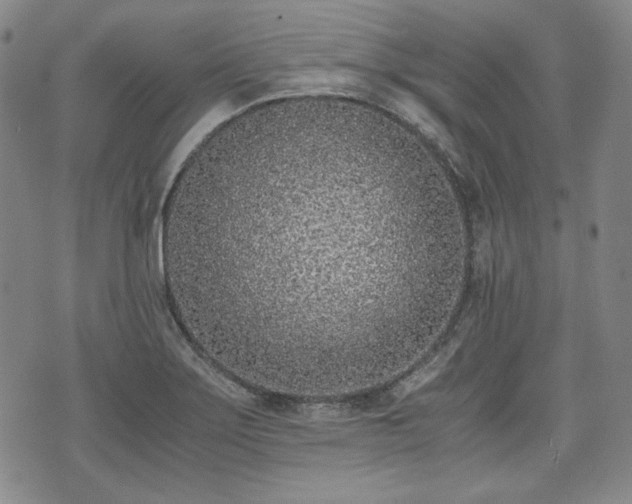 X0000073451275200608041018