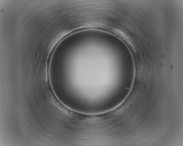 X0000073451276200608041018