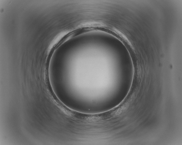 X0000073451277200608041018