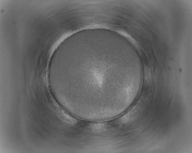 X0000073451278200608041018