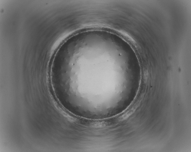 X0000073451279200608041018