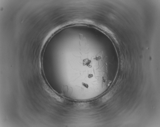 X0000073451280200608041018