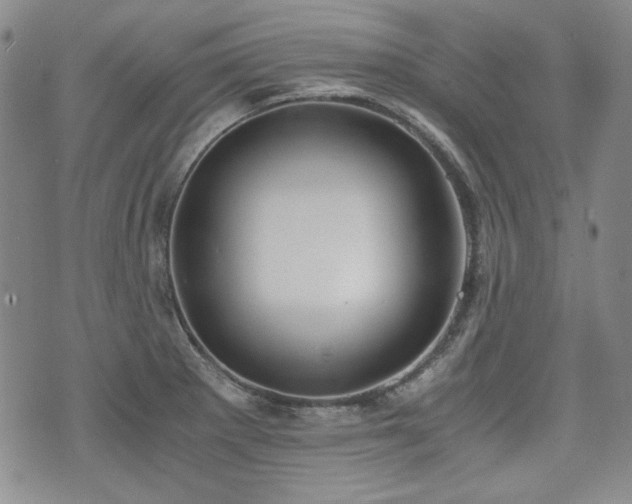 X0000073451281200608041018