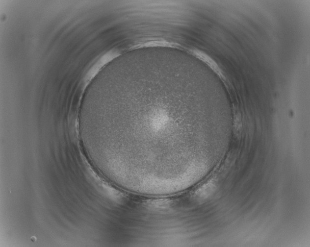 X0000073451282200608041018