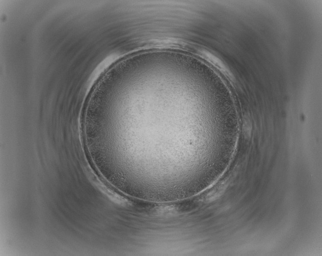 X0000073451283200608041018