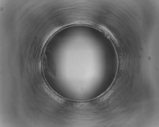 X0000073451284200608041018