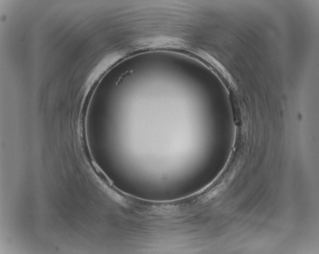 X0000073451285200608041018