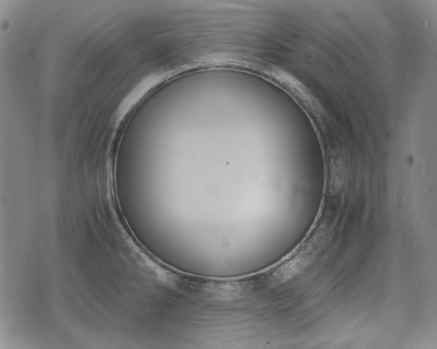 X0000073451286200608041018